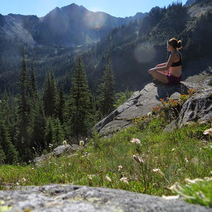 Meet your Posher, Scottie